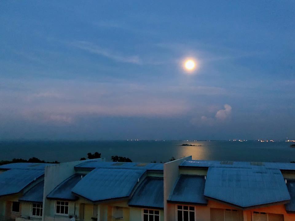 Shamrock Boutique Villa - Stay For 12 Person Batu Feringgi Dış mekan fotoğraf